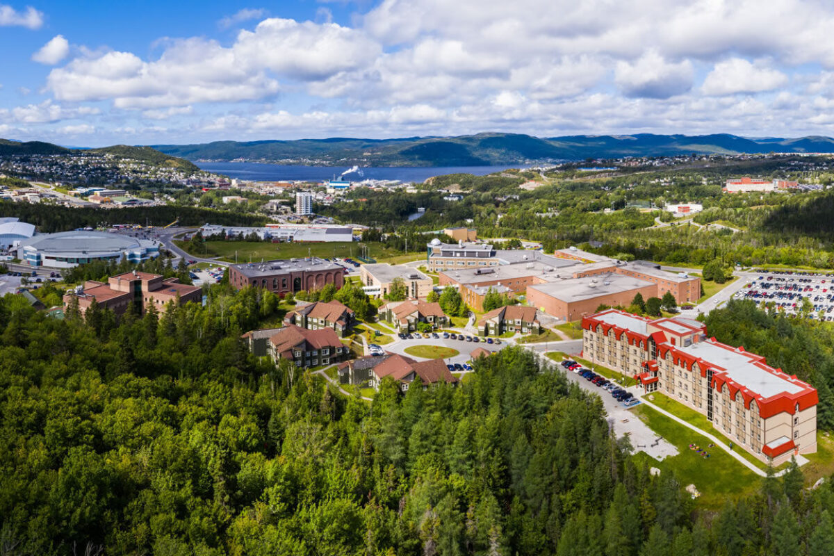 Newfoundland University Newfoundland University